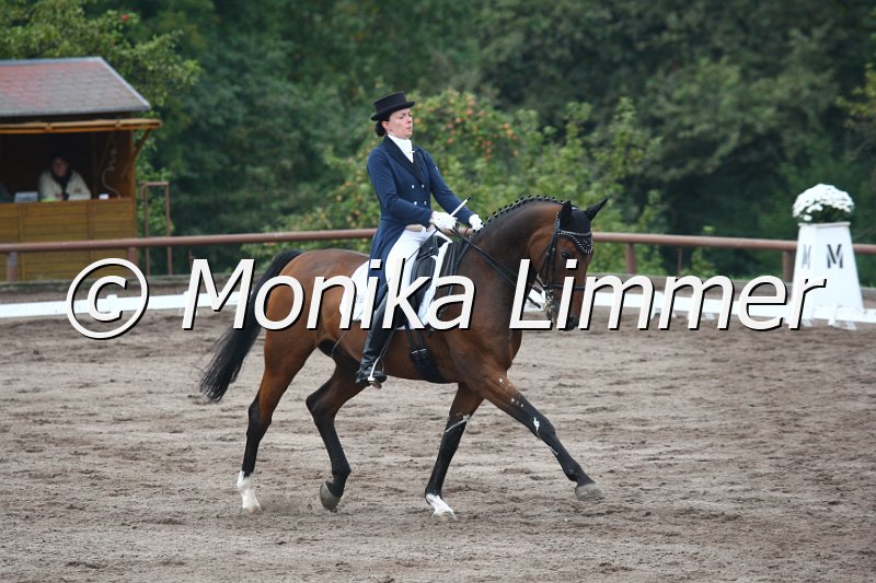 009M9395_Syriolan_Dressur S_St. Georg.JPG